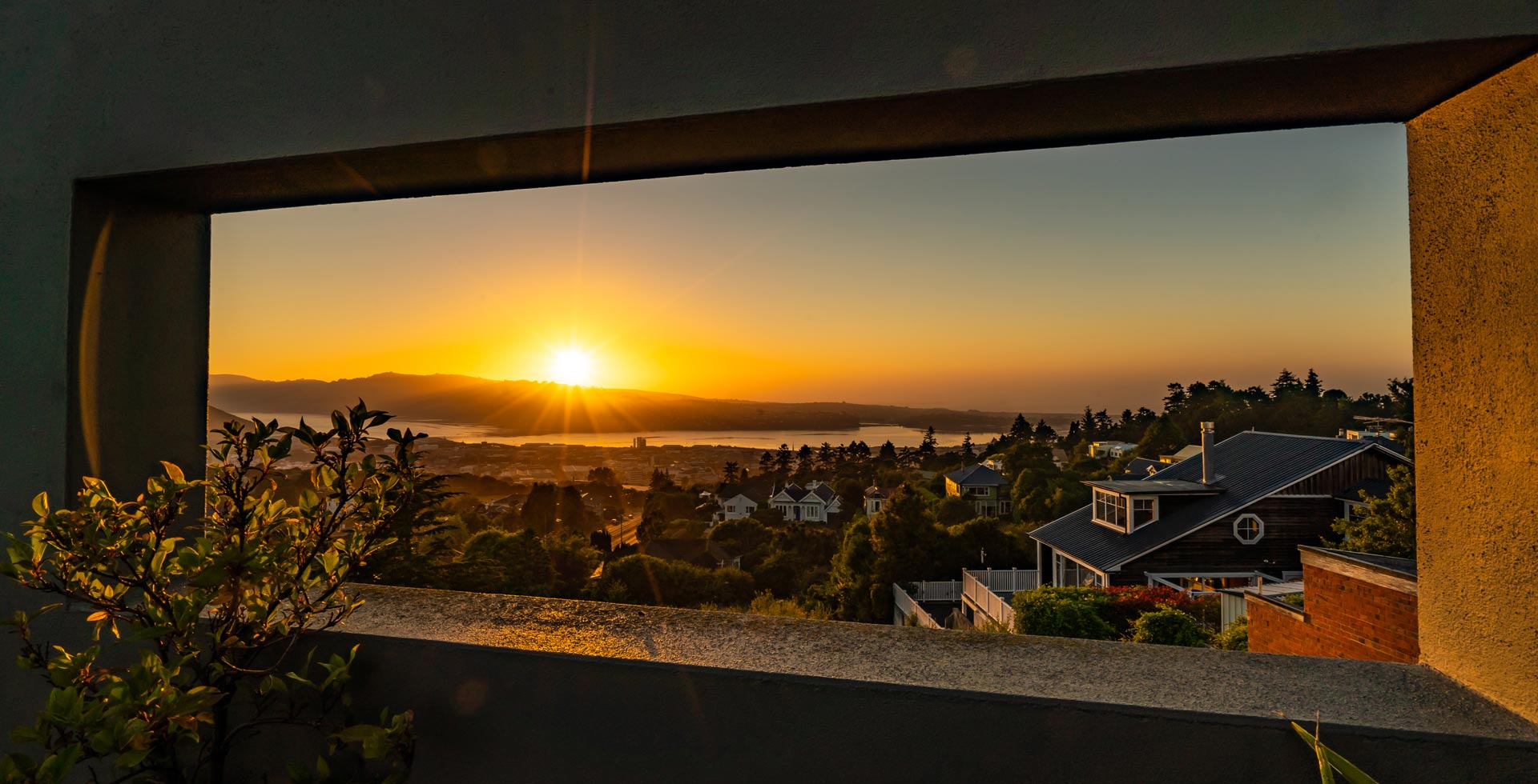 Luna Bar & Restaurant Roslyn Dunedin